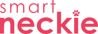 Smart Neckie