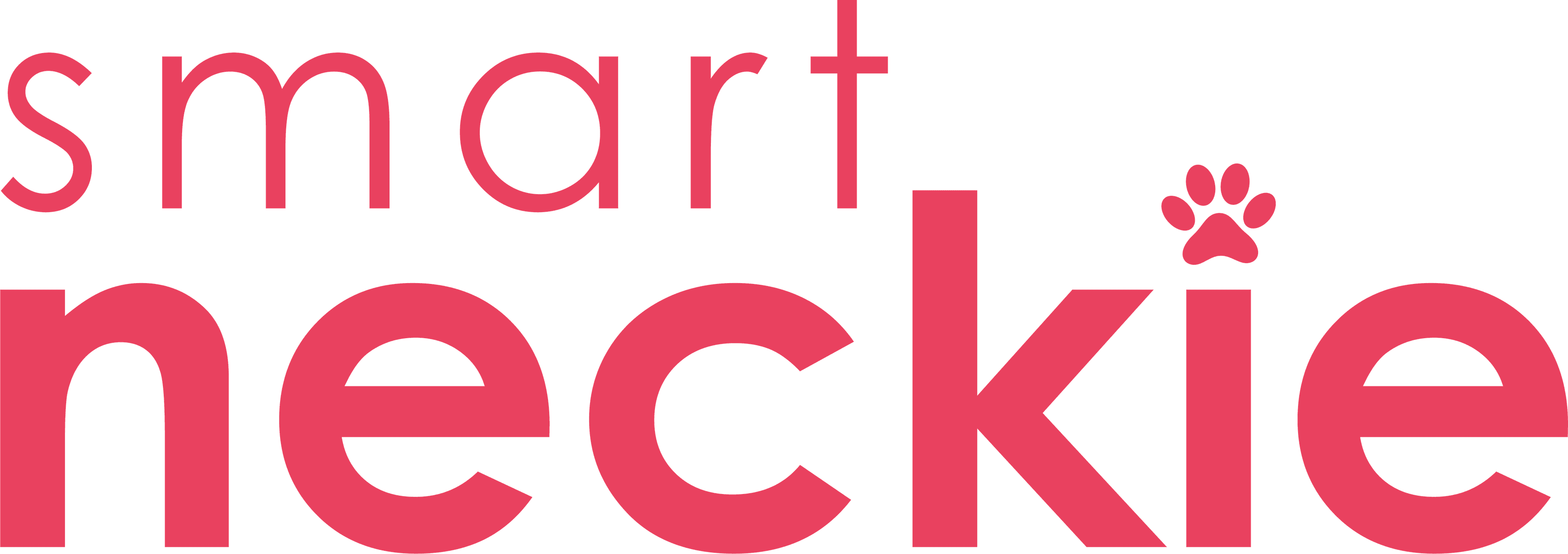 SmartNeckie